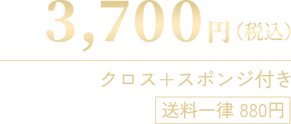 サビ取り剤　極