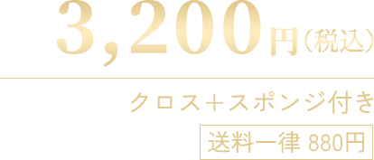 表面保護剤　匠ハーフボトル
